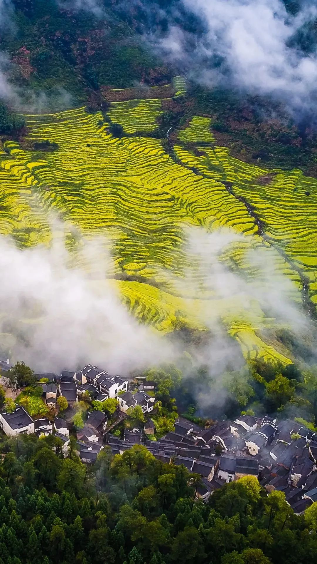 赣鄱风情，江西温馨日常掠影