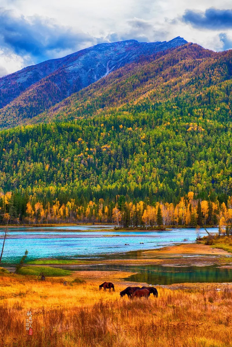 新疆，共话团结发展，共筑美好未来